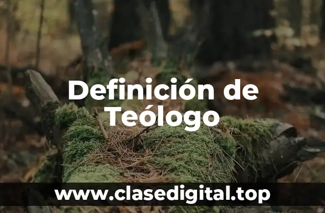 Definición de Teólogo