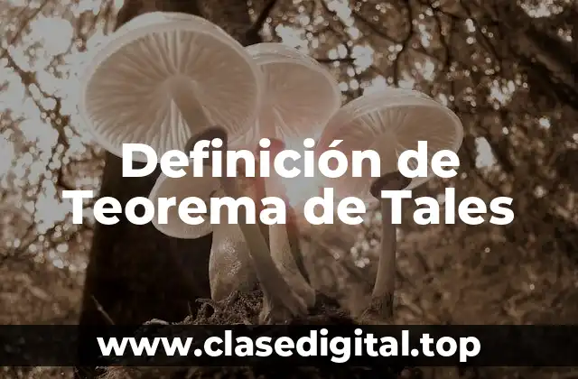 Definición técnica del Teorema de Tales