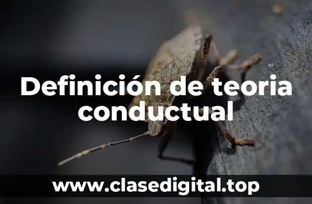 Ejemplos de teoria conductual