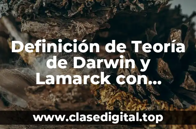 Definición de Teoría de Darwin y Lamarck con Cangrejos