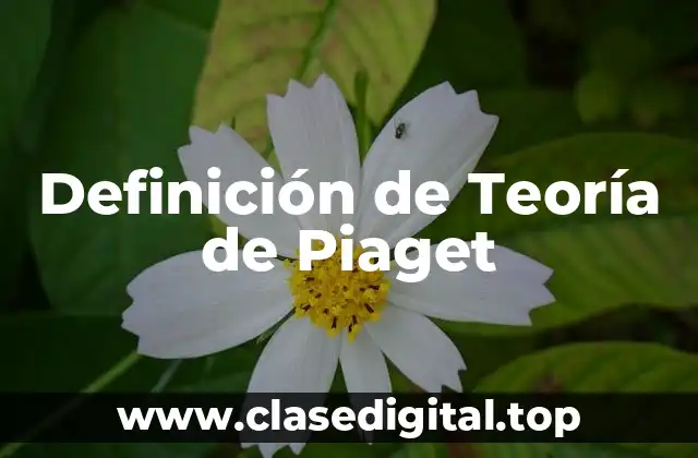 Definición de Teoría de Piaget