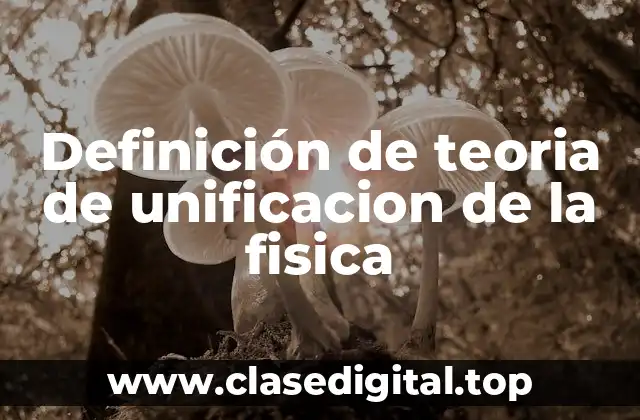 Ejemplos de teoría de unificación de la física