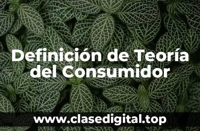 Definición de Teoría del Consumidor