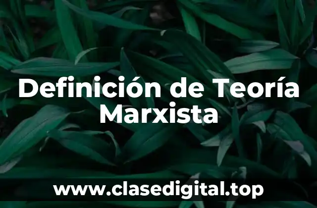 Definición de Teoría Marxista