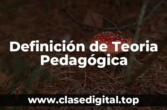 Definición de Teoria Pedagógica