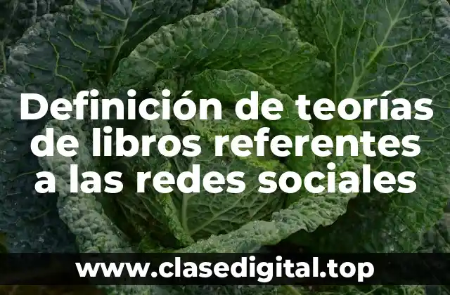 Definición de teorías de libros referentes a las redes sociales