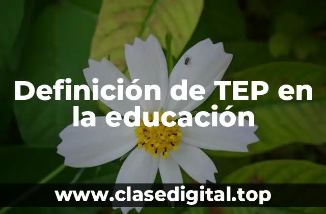 Definición de TEP en la educación