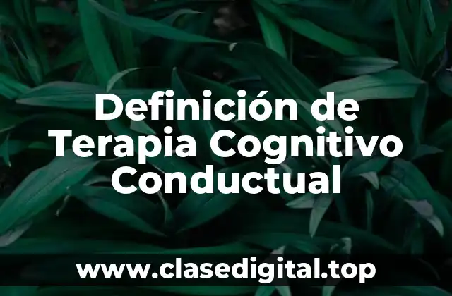 Definición técnica de Terapia Cognitivo Conductual