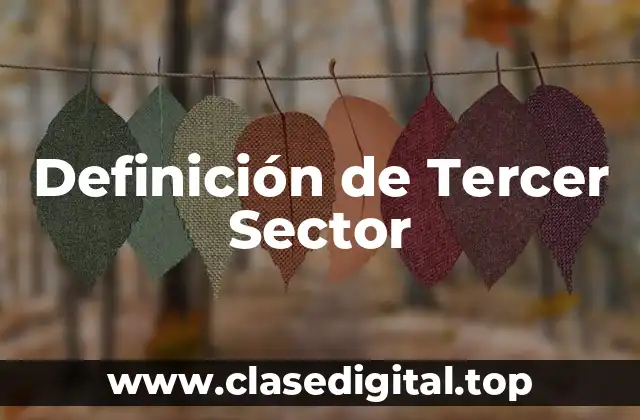 Definición de Tercer Sector
