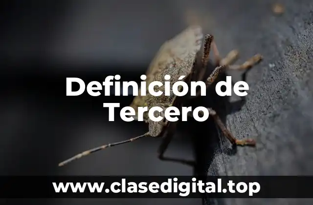 Definición de Tercero