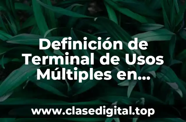 Definición de Terminal de Usos Múltiples en Logística