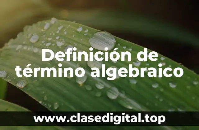 Definición técnica del término algebraico