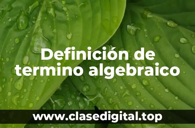 Definición de termino algebraico