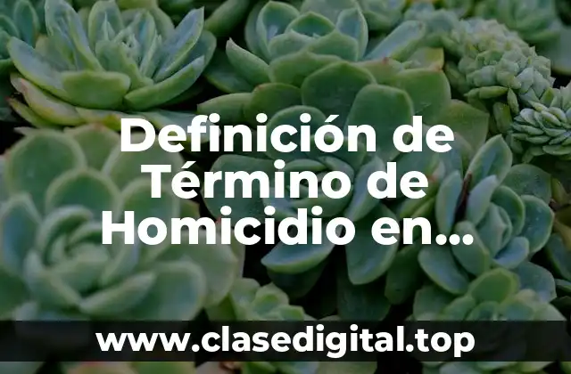 Definición de Término de Homicidio en Investigación