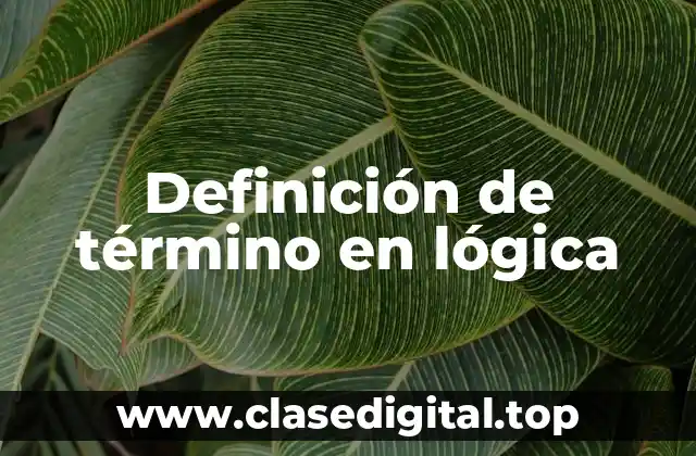 Definición de término en lógica