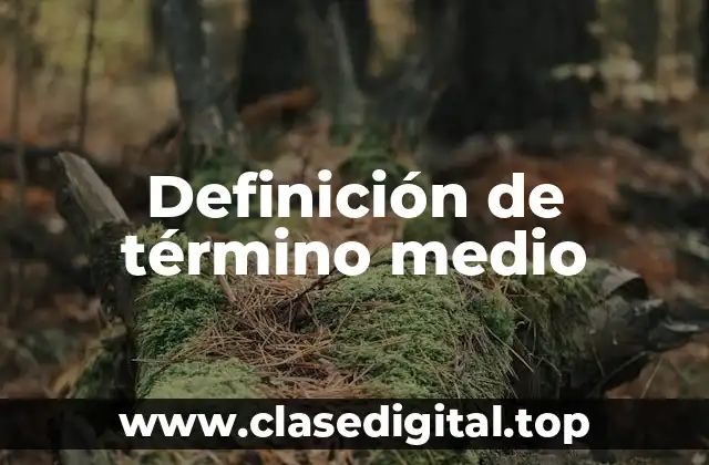 Definición de término medio