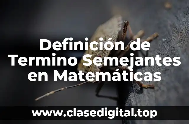 Definición de Termino Semejantes en Matemáticas