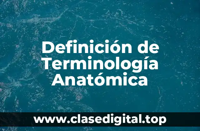 Ejemplos de Terminología Anatómica