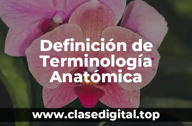 Definición técnica de Terminología Anatómica