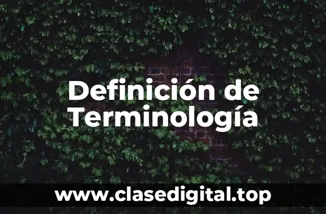 Definición de Terminología