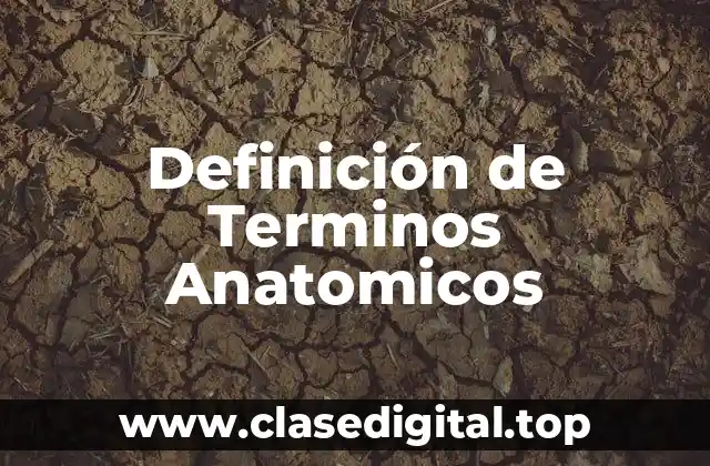 Definición de Terminos Anatomicos