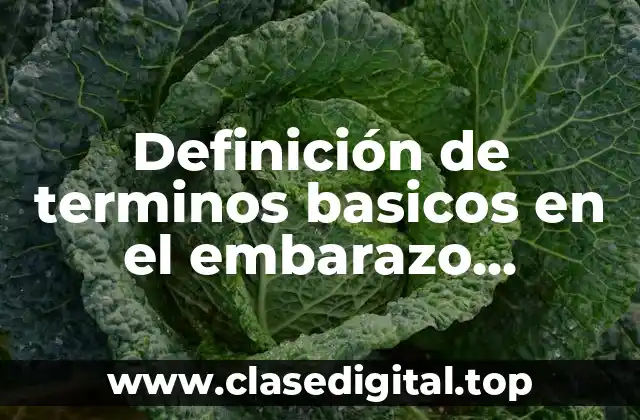 Definición de terminos basicos en el embarazo adolescente tesis