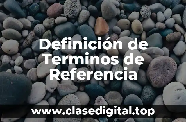 Definición de Terminos de Referencia