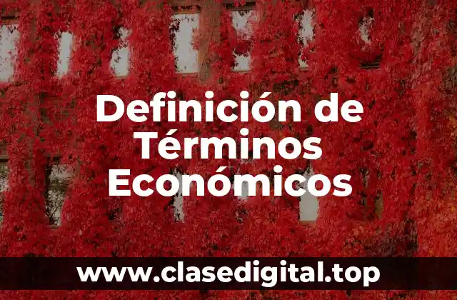 Definición de Términos Económicos