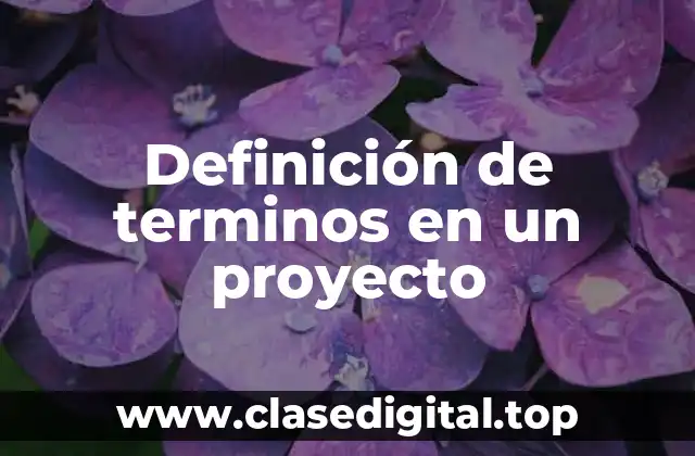 Definición de terminos en un proyecto