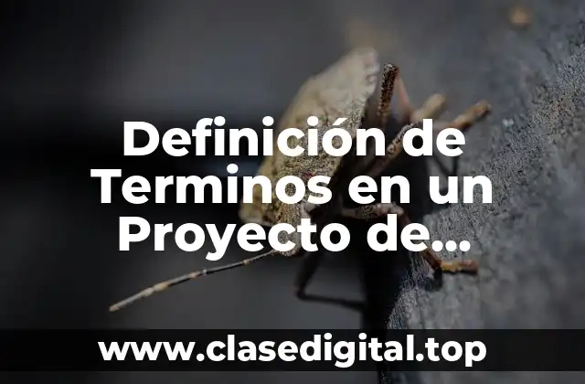 Definición de Terminos en un Proyecto de Investigación