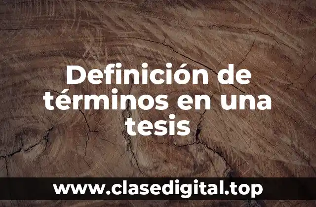 Definición de términos en una tesis
