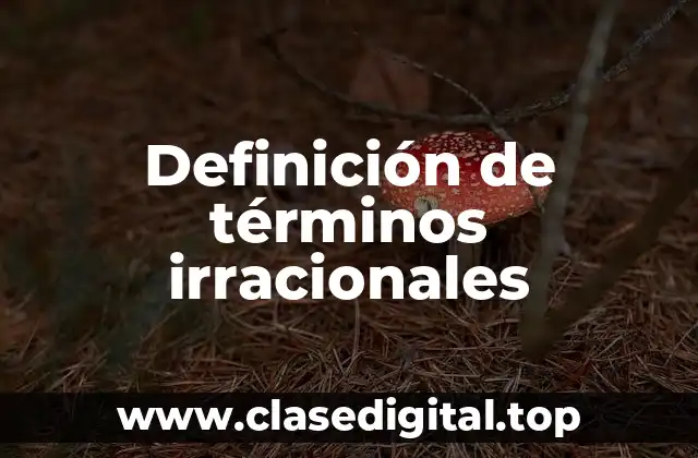 Definición de términos irracionales