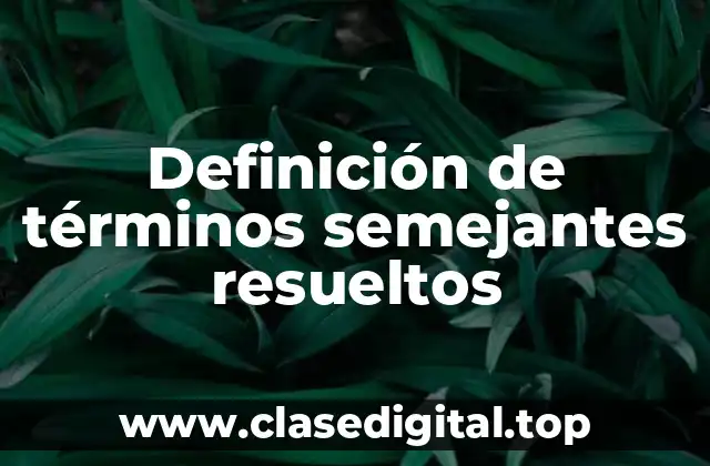 Definición de términos semejantes resueltos