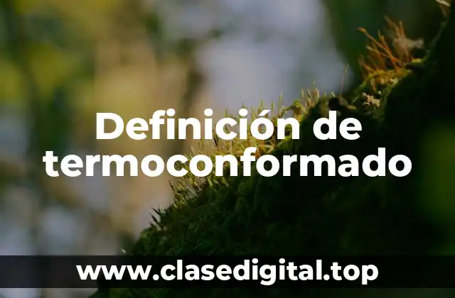Ejemplos de termoconformado
