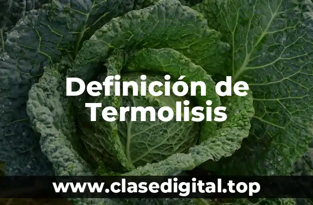 Definición de Termolisis