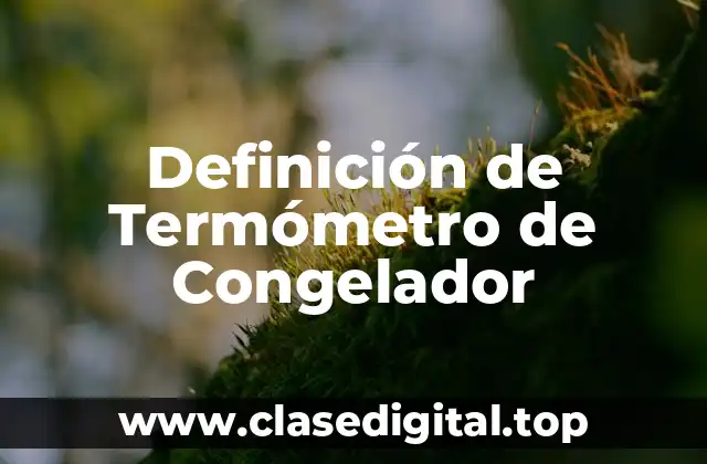 Definición de Termómetro de Congelador