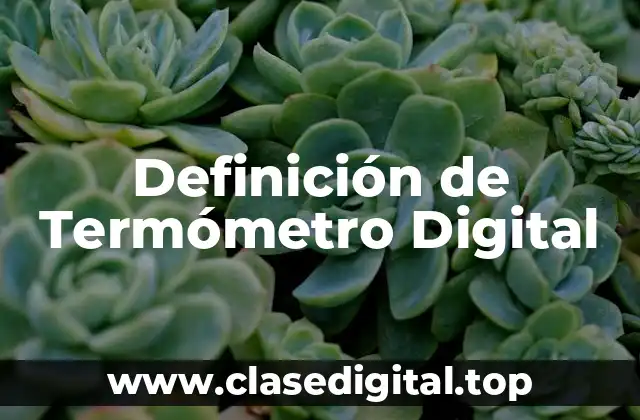 Definición de Termómetro Digital
