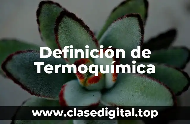 Definición técnica de Termoquímica