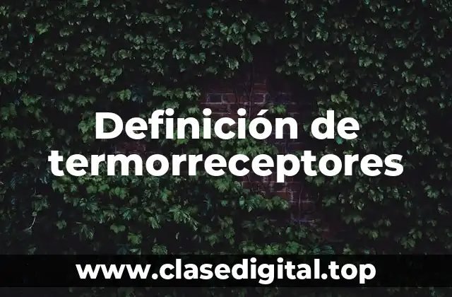 Definición de termorreceptores