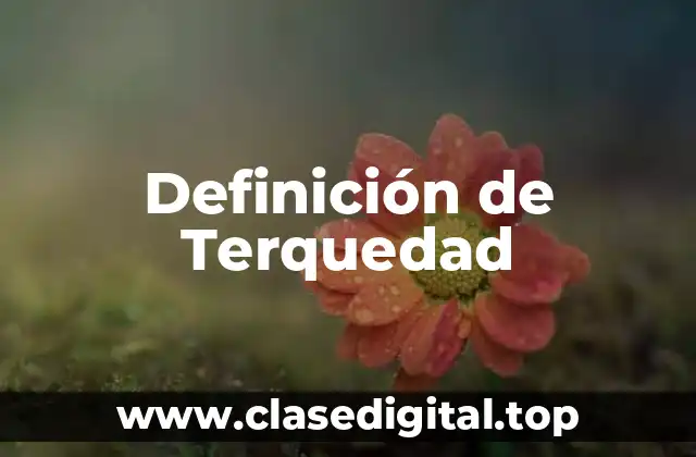 Definición de Terquedad