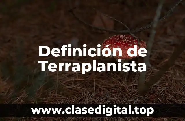 Definición de Terraplanista