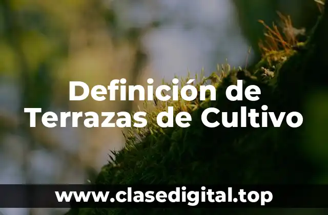 Definición de Terrazas de Cultivo