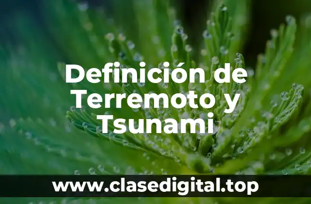 Definición de Terremoto y Tsunami
