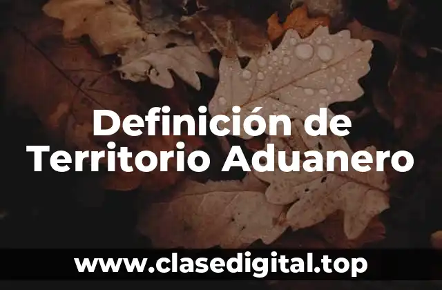 Definición de Territorio Aduanero
