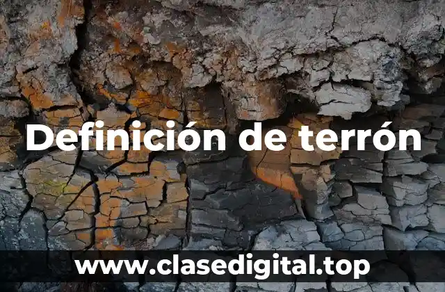 Definición de terrón