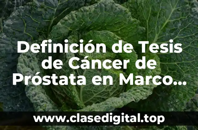 Definición de Tesis de Cáncer de Próstata en Marco Teórico