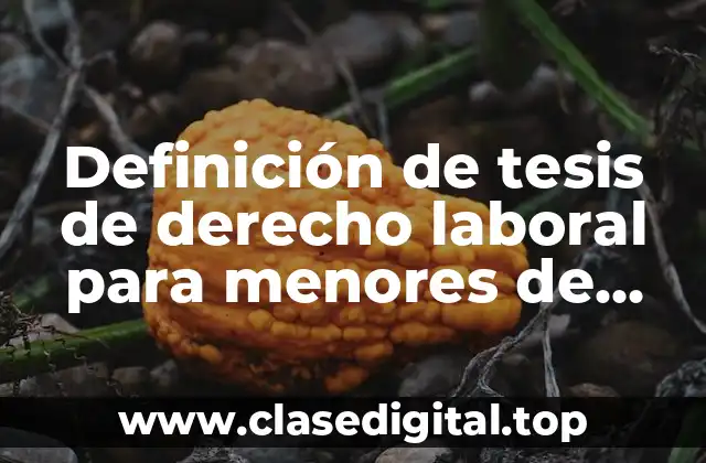 Definición de tesis de derecho laboral para menores de edad