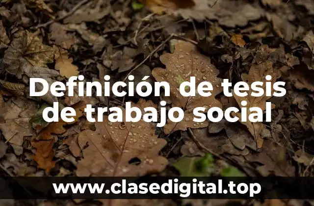 Definición de tesis de trabajo social