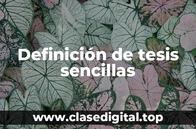 Definición de tesis sencillas