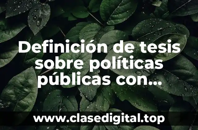Definición de tesis sobre políticas públicas con enfoque de derechos